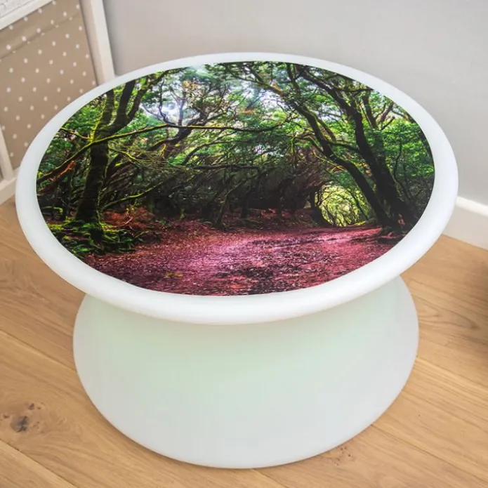Alfombra para mesas de luz y bandejas sensoriales Bosque 62,5 cm - TickiT