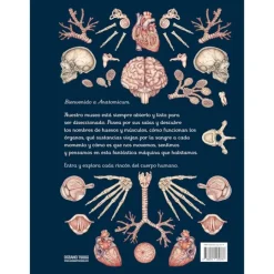 Anatomicum - Visita nuestro Museo - Impedimenta