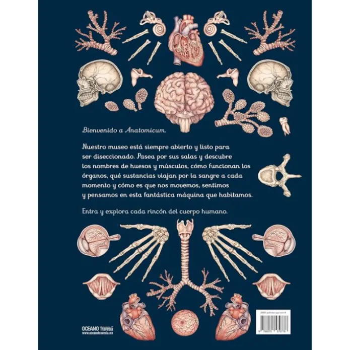 Anatomicum - Visita nuestro Museo - Impedimenta