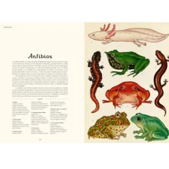 Animalium - Visita nuestro Museo - Impedimenta