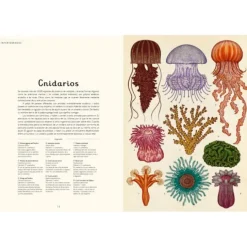 Animalium - Visita nuestro Museo - Impedimenta