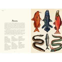 Animalium - Visita nuestro Museo - Impedimenta