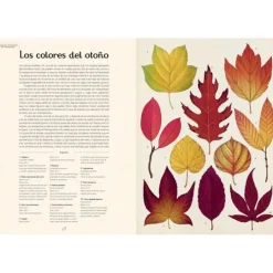 Arboretum - Visita nuestro Museo - Impedimenta