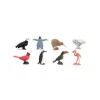 Aves minis Good Luck (8) - Safari