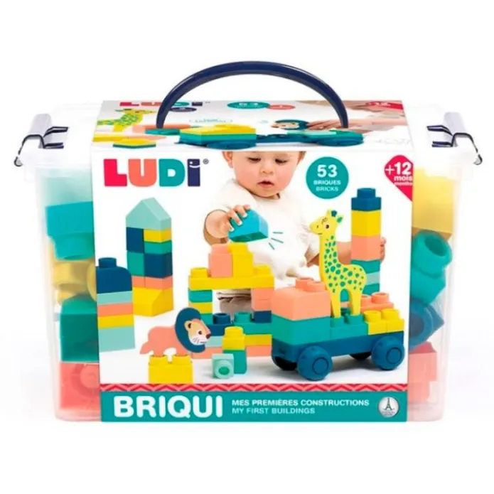 Bloques de construcción Briqui (53) - Ludi