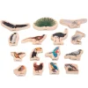 Bloques de madera Pájaros (15) - TickiT