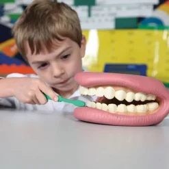 Boca para cepillar los dientes - Commotion Distribution