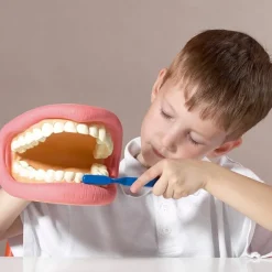 Boca para cepillar los dientes - Commotion Distribution