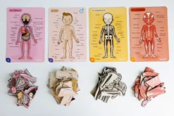 Bodymagnet: juego de anatomía - Janod