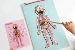 Bodymagnet: juego de anatomía - Janod