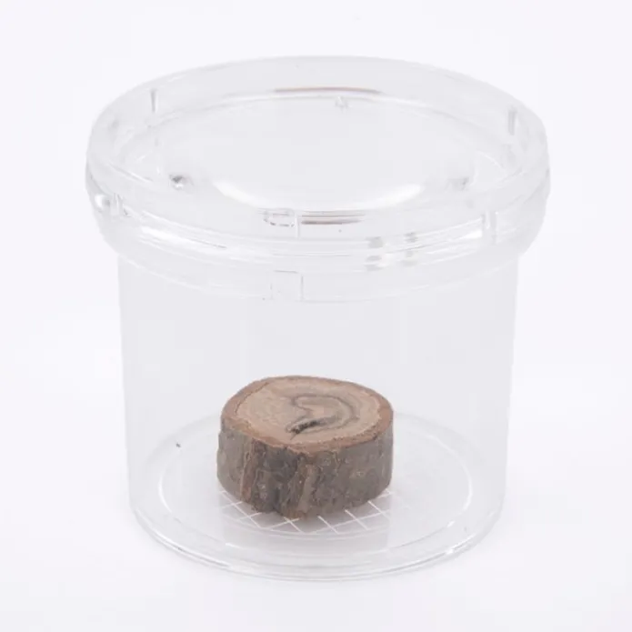 Bote con lupa de plástico para observar insectos - TickiT