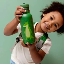 Botella acero inoxidable verde caimán 500 ml - Trixie
