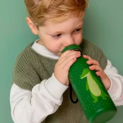 Botella acero inoxidable verde caimán 500 ml - Trixie