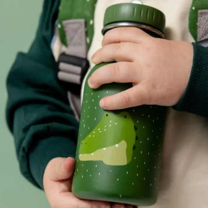 Botella acero inoxidable verde caimán 350 ml - Trixie