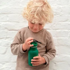 Botella acero inoxidable verde cocodrilo 350 ml - Trixie