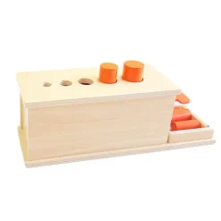 Caja de permanencia de madera con 5 cilindros - Montessori