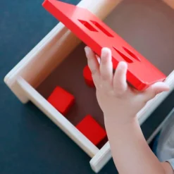Caja de permanencia de madera 4 formas - Montessori