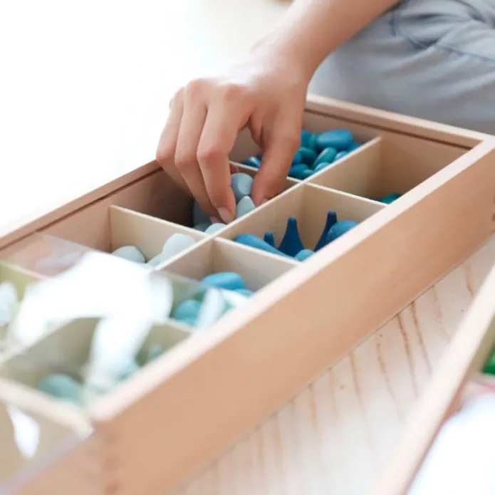 Cajas de madera para descubrir y clasificar (3) - Tickit