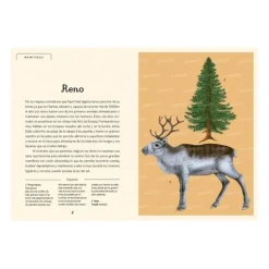 Calendario de Adviento flora y fauna - Visita nuestro Museo - Impedimenta