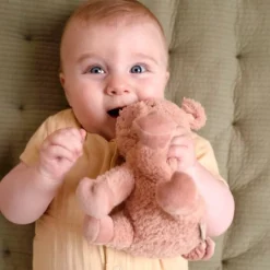 Cerdito de peluche - Little Dutch