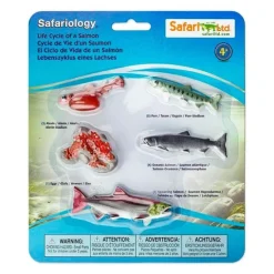 Ciclo de vida de un salmón - Safari