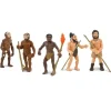 Ciclo evolución del ser humano - Safari