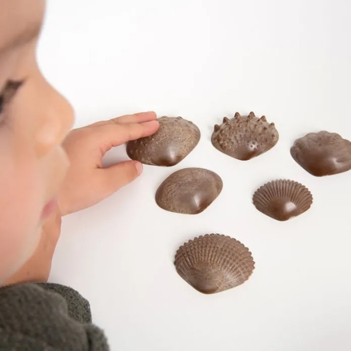 Conchas ecológicas táctiles y sensoriales (36) - EDX Education