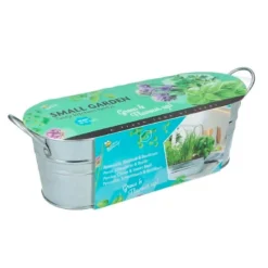 Cuenco zinc con 3 hierbas aromáticas - Green Warriors