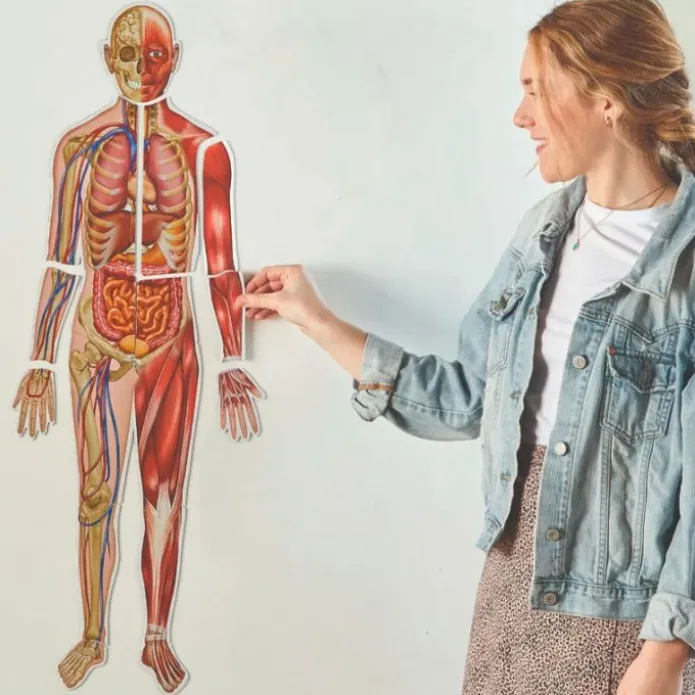 Cuerpo humano magnético doble cara 17 piezas - Learning Resources