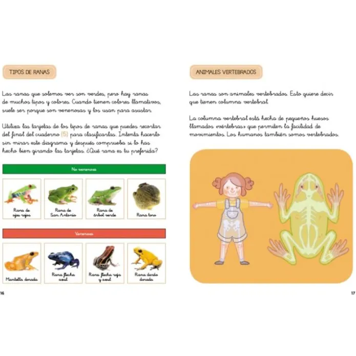 Descubre la naturaleza con Montessori: Cuentos y actividades sobre los animales - Klara Moncho - Altea