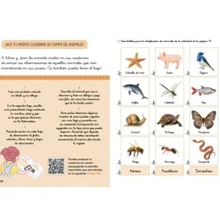Descubre la naturaleza con Montessori: Cuentos y actividades sobre los animales - Klara Moncho - Altea