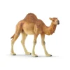 Dromedario - Schleich