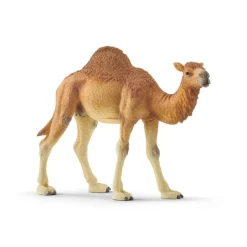 Dromedario - Schleich