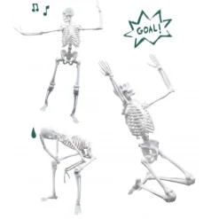 Esqueleto humano articulado 45 cm con radiografías y actividades - Buki