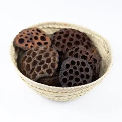 Flores de loto secas 10 cm (10) - Deukaliptus