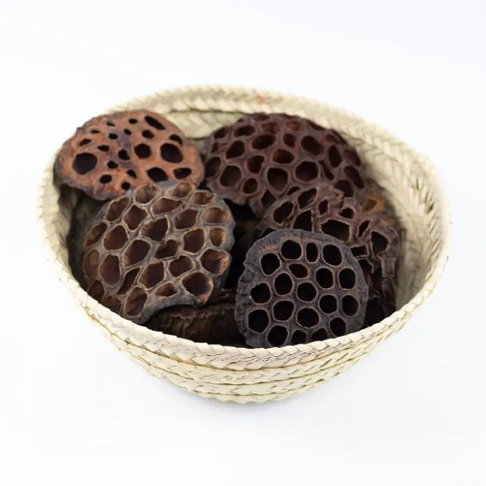 Flores de loto secas 10 cm (10) - Deukaliptus