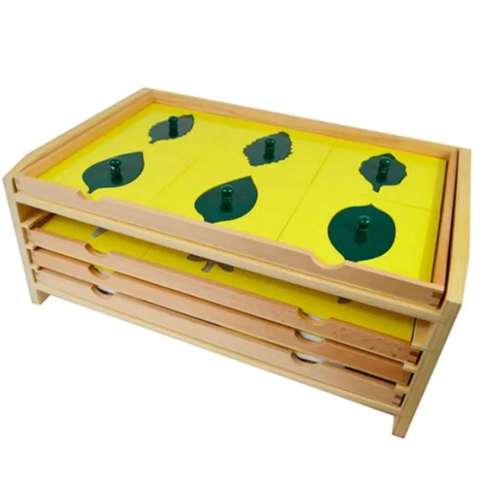 Gabinete botánico de madera con 24 inserciones - Montessori