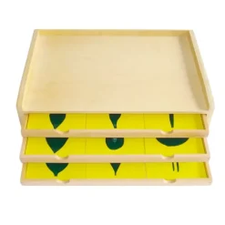 Gabinete botánico de madera con 18 inserciones - Montessori