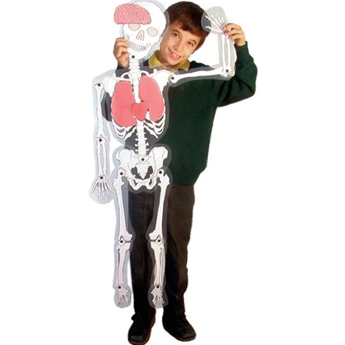 Hombre esqueleto Skeleton Man Light & Learn - HenBea