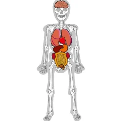 Hombre esqueleto Skeleton Man Light & Learn - HenBea