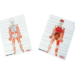 Hombre esqueleto Skeleton Man Light & Learn - HenBea