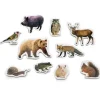 Imanes de madera Animales del bosque (10) - Nowordbooks