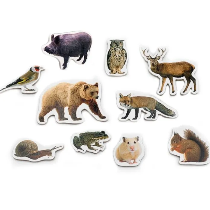 Imanes de madera Animales del bosque (10) - Nowordbooks