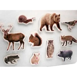 Imanes de madera Animales del bosque (10) - Nowordbooks
