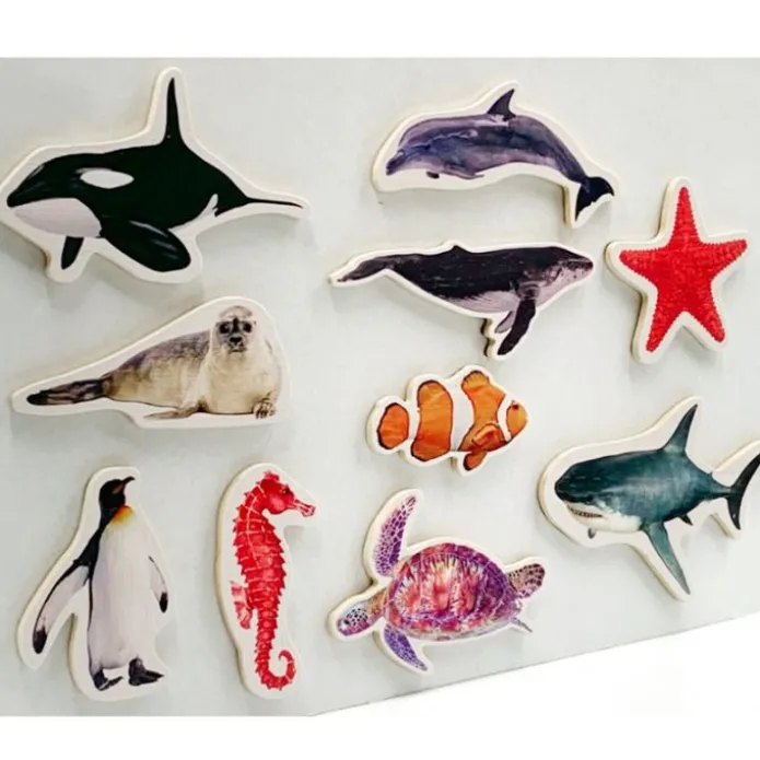 Imanes de madera Animales marinos (10) - Nowordbooks