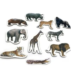 Imanes de madera Animales salvajes (10) - Nowordbooks