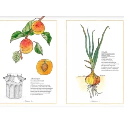 Inventario ilustrado de frutas y verduras - Virginie Aladjidi - Kalandraka
