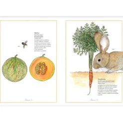 Inventario ilustrado de frutas y verduras - Virginie Aladjidi - Kalandraka