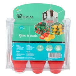Invernadero para cultivar tomates cherry (6) - Green Warriors