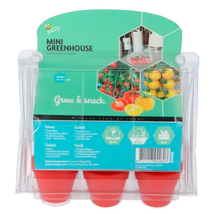 Invernadero para cultivar tomates cherry (6) - Green Warriors